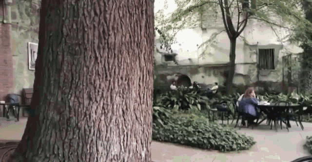 a woman sits at a table in a park behind a tree