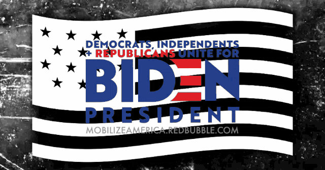 Joe Biden Biden2020 GIF - Joe Biden Biden2020 Vote For Biden GIFs