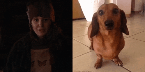 a woman wearing a butterfly shirt next to a dachshund sitting on the floor