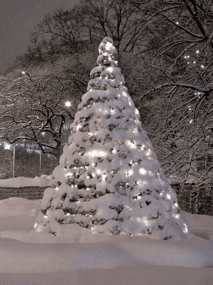 a large snow covered christmas tree with lights on it