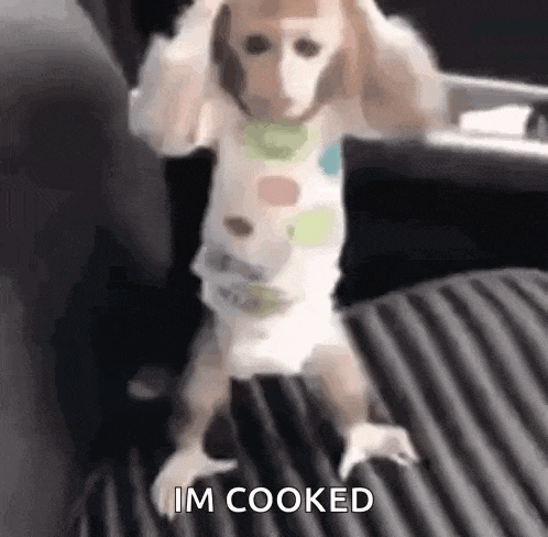 a dog in a diaper is standing on its hind legs on a bed and says `` i 'm cooked '' .