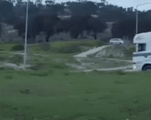 a white semi truck with the words `` que se foda '' written on the side is driving down a highway .