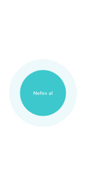 a circle with nefes al written on it
