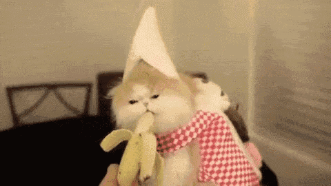 Cat Eating GIF - Cat Eating Banana GIFs