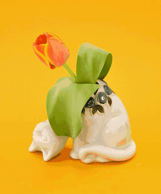 a white cat with a flower in its mouth