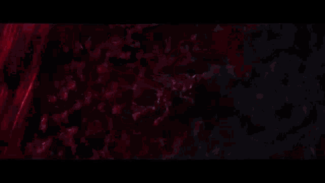 a close up of a red and black background with a blurred effect