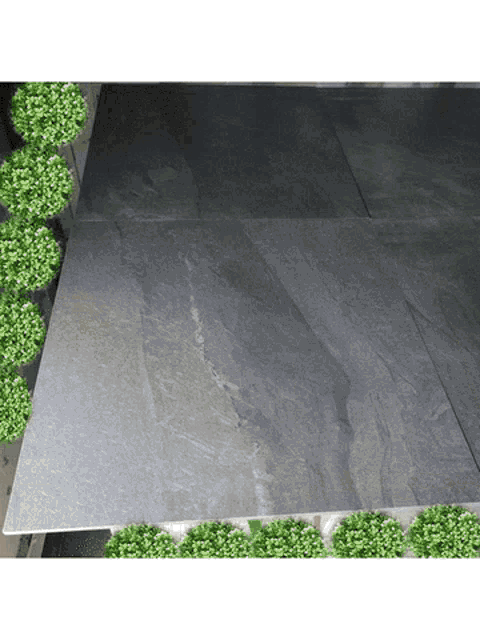 a black tile is surrounded by green plants and a white background