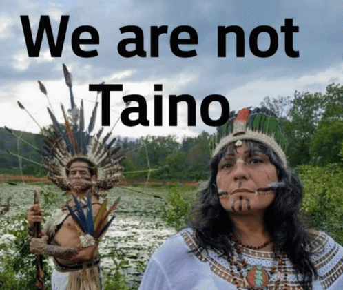 We Are Not Taino Native GIF - We Are Not Taino Native Serious GIFs