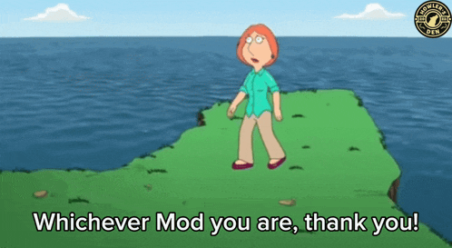 a cartoon of lois griffin standing on a cliff with the words " whichever mod you are thank you "