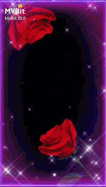 a picture of a girl with a red rose and the words mvbit