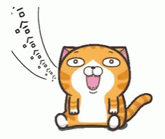 Cat Lan Lan Cat GIF - Cat Lan Lan Cat Laugh GIFs