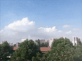 a city skyline with trees in the foreground