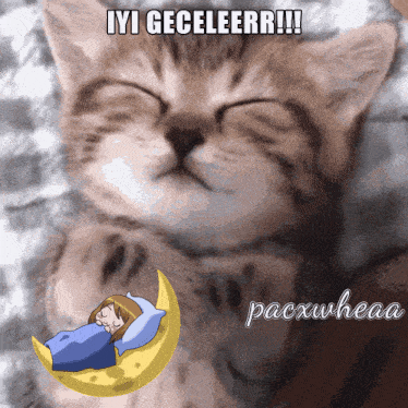 a picture of a cat with the words iyi geceleerr on it