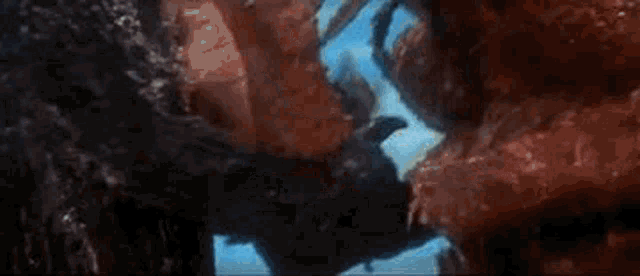 Godzilla Ebirah Horror Of The Deep GIF - Godzilla Ebirah Horror Of The Deep Ebirah GIFs
