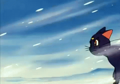 When You Realize You Forgot Your Mittens  GIF - Kitten Cat Sailormoon GIFs