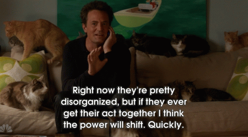 Cat Army GIF - Comedy Go On Matthew Perry GIFs