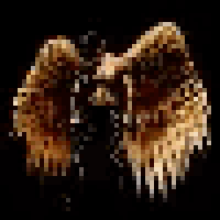 a close up of a pair of burning angel wings on a black background .