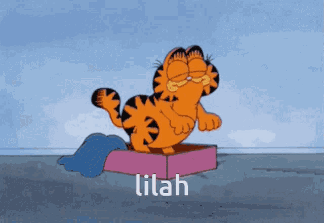 a cartoon of garfield sitting in a box with the word lilah written on the bottom