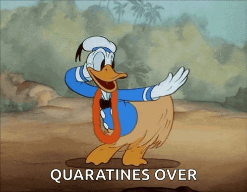 a cartoon of donald duck dancing with the words quaratines over
