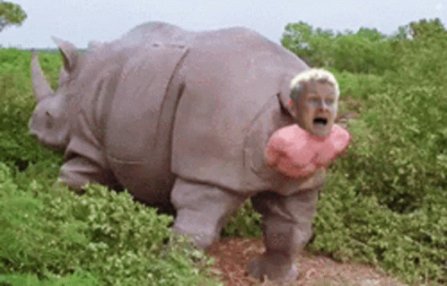 Ole Rhino GIF - Ole Rhino Ass GIFs