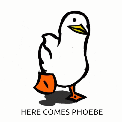 a drawing of a duck with the words here comes phoebe written below it