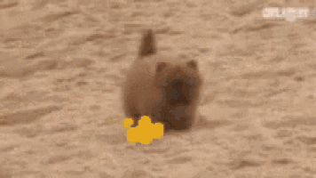 a group of people are playing in the sand and making sand sculptures .