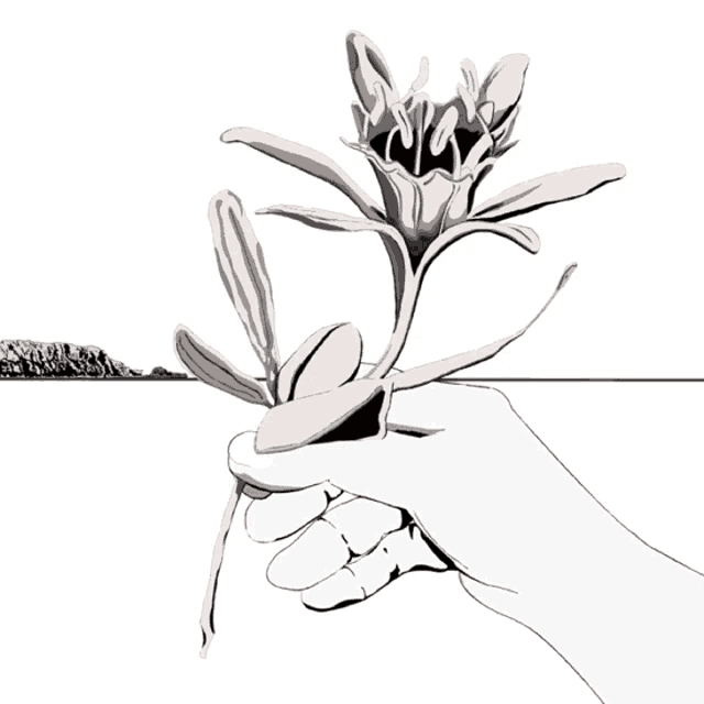 a black and white drawing of a person holding a flower in their hand