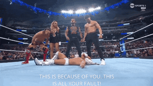 a group of wrestlers are in a wrestling ring with the caption " this is because of you this is all your fault ! "