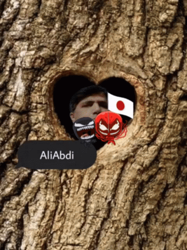 Ali Abdi GIF - Ali Abdi GIFs