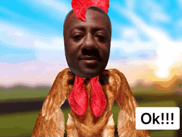 a chicken with a man 's head and a sign that says ok on it