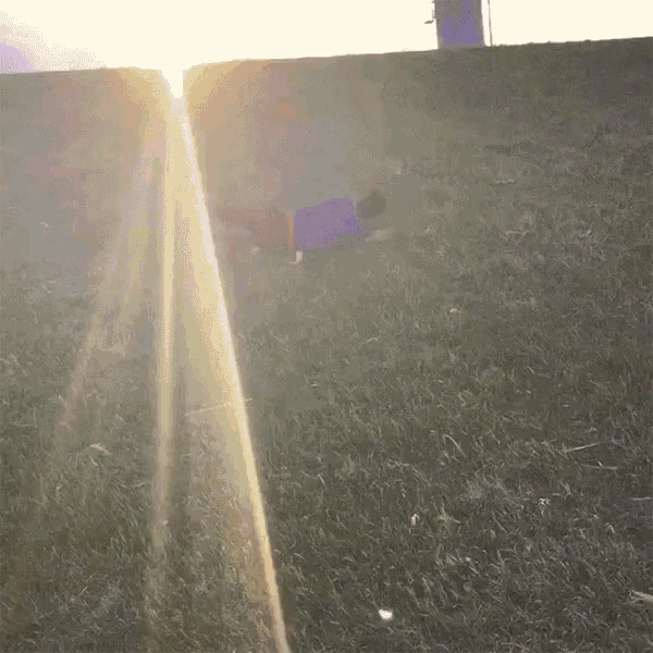 the sun is shining through the grass and a fence