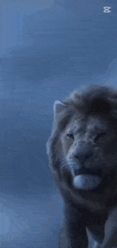 a close up of a lion with its mouth open and the caption capcut