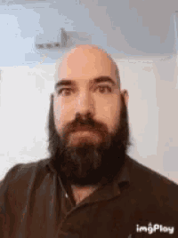 a bald man with a beard is wearing a brown shirt and looking at the camera .