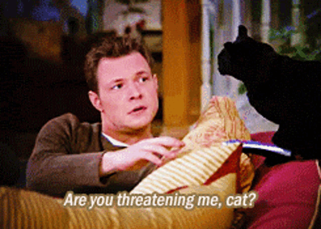 a man is sitting on a couch talking to a black cat with the words are you threatening me cat