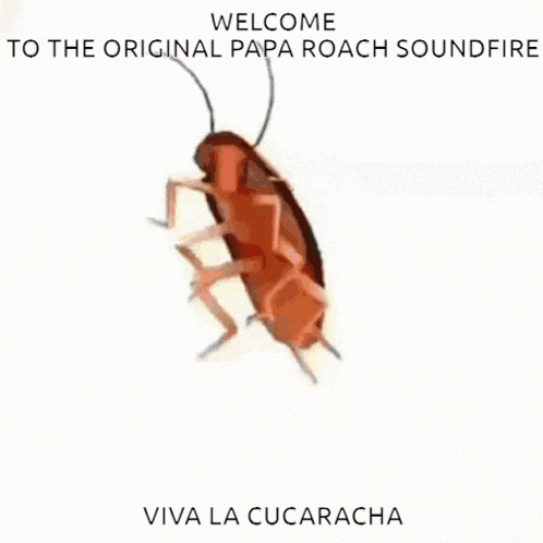 Papa Roach Infest GIF - Papa Roach Papa Roach GIFs