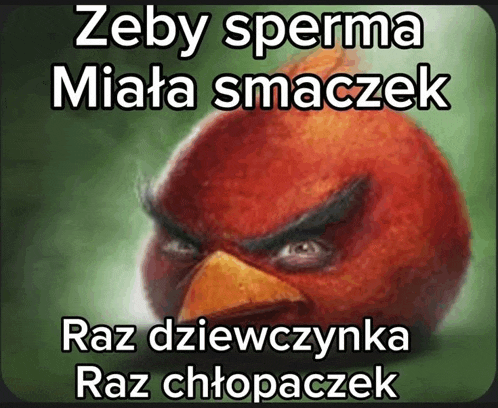 a picture of an angry bird with a caption that says zeby sperma miata smaczek