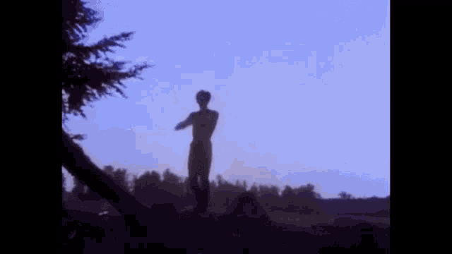 a silhouette of a man standing on top of a rock with his arms in the air .