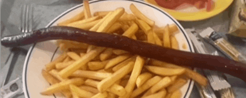 a plate of french fries with a sausage on top