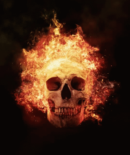 Flame Flaming GIF - Flame Flaming Skull GIFs