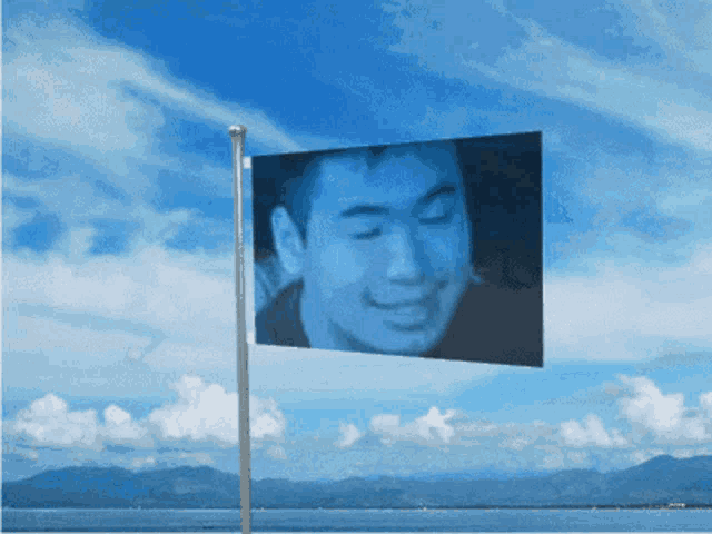 Bosco Waving Flag GIF - Bosco Waving Flag Flag GIFs