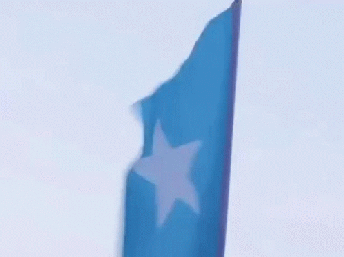 Somalia Calan GIF - Somalia Somali Calan GIFs