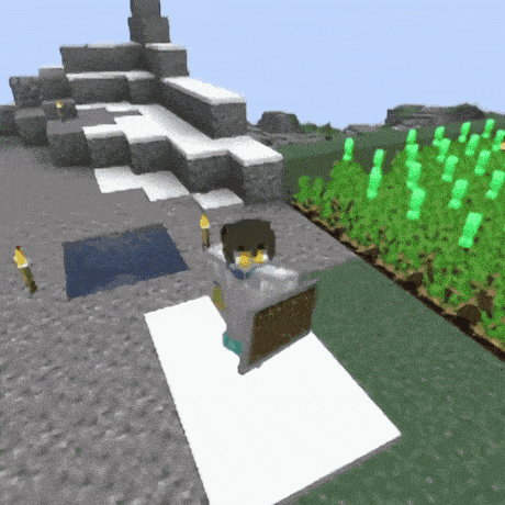 a person in a minecraft video game is standing in front of a field of green plants