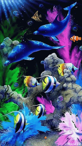 Water Fish GIF - Water Fish GIFs