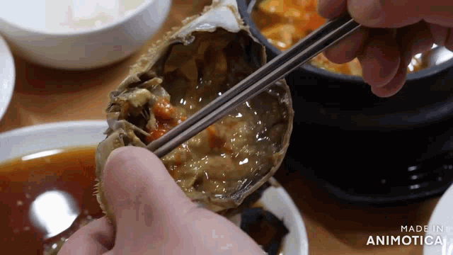 a person is eating a crab with chopsticks and the words made in animatica are visible