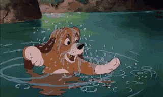 Hehe Fox And The Hound GIF - Hehe Fox And The Hound Copper GIFs