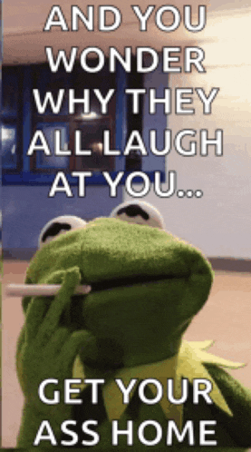 kermit the frog is smoking a cigarette and says and you wonder why they all laugh at you