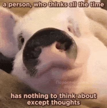 a person , who thinks all the time has nothing to think about except thoughts