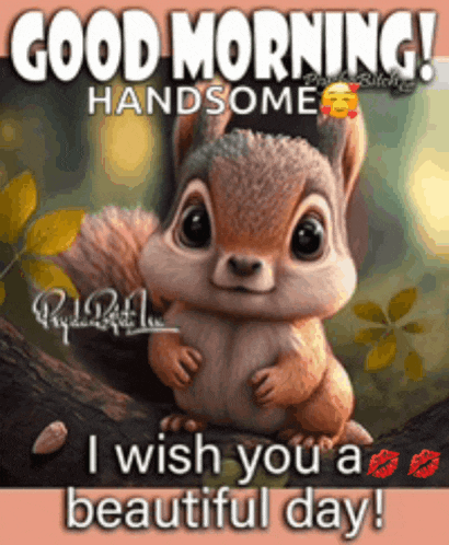 a picture of a squirrel with the words good morning handsome
