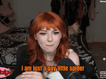 a woman with red hair says i am just a gay little spider in front of a microphone