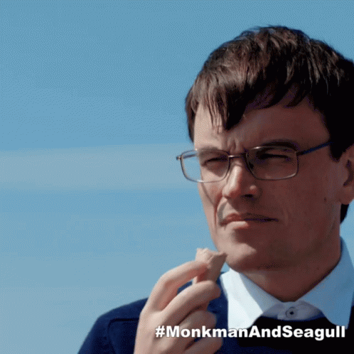Monkman And Seagull Monkman GIF